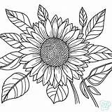 45 Girasole Da Colorare  Pagine Stampabili Gratis sketch template