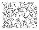Premium Vector  Coloring Book For Adult And Older Children coloring sketch template
