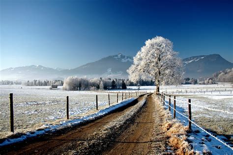 First snow.... | Nature desktop wallpaper, Wallpaper, New wallpaper