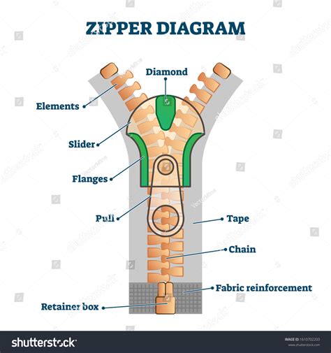 Zipper Diagram Vector Illustration Detailed Educational Stock Vector (Royalty Free) 1610702203 ...