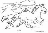 Mustang Horse Coloring Pages sketch template