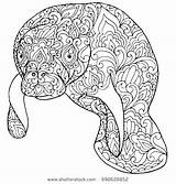 Manatee Coloring Pages Printable At GetColoringscom  Free sketch template