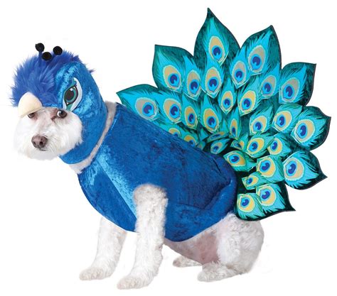 Animal Planet Peacock Dog Costume Animal Planet Peacock Dog Costume ...