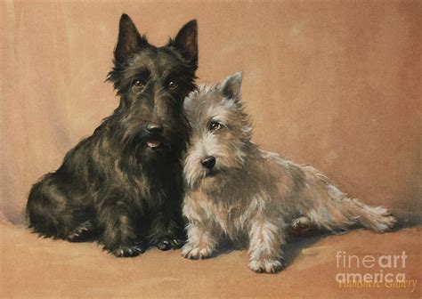 Scottish Terrier Painting by Celestial Images - Fine Art America