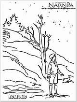 Edmund Chronicles Of Narnia Coloring Page Realistic Coloring  sketch template