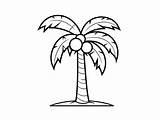 Palm Tree Coloring Sheet  Page sketch template