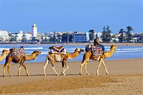 Best beaches in Morocco | Insight Guides