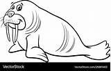 Walrus Animal Character Cartoon coloring Page Vector Image sketch template