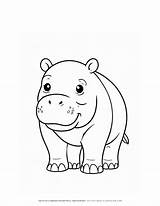 Boost Fun Learning With Cute Baby Hippo Outline Coloring Page sketch template