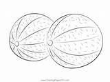 Two Whole Cantaloupe Melons Coloring Page Printable Pages  sketch template