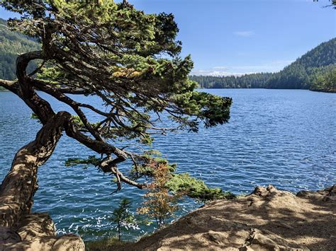 The Cascade Lake Loop Trail: Easy Hiking on Orcas Island