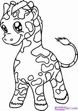Cute Baby Animals Coloring Pages  Home sketch template
