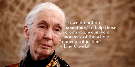 10 Inspiring Jane Goodall Quotes About Our Planet's Future - 8Shades