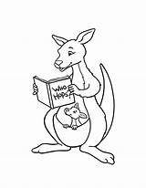 Free Printable Kangaroo Coloring Pages For Kids sketch template