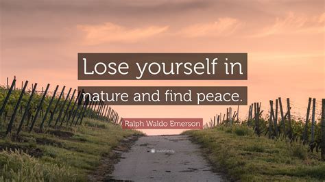 View Quote Nature Peaceful Wallpaper PNG