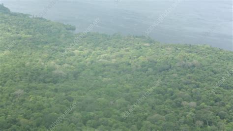 Aerial shot over the Amazon, Manaus, Brazil - Stock Video Clip - K011 ...