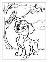 135  Coloriages De chiot Pour Enfants Et Adultes PDF Gratuits à Imprimer sketch template