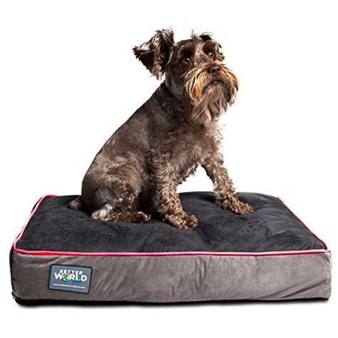 The Best Orthopedic Dog Beds - Dogtime