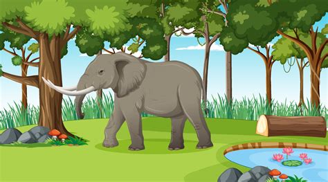 Elephant in forest or rainforest scene with many trees 3046049 Vector Art at Vecteezy