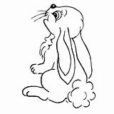 Personal Impressions Cute Bunny Rubber Stamp  Coloring Nation sketch template