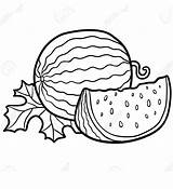 Watermelon coloring Pages  ColoringLib sketch template