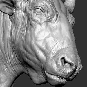 3D Buffalo Models | TurboSquid