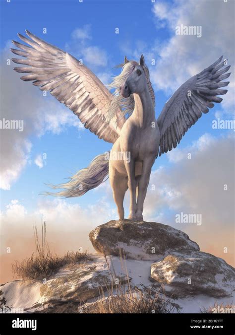 Pegasus, the all white, horse with wings from Greek mythology stands atop a rock covered hill ...