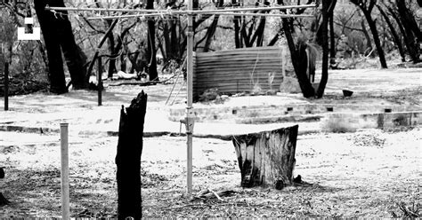 A black and white photo of a bench in a park photo – Free Australia Image on Unsplash