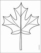 Maple Tree Coloring Pages sketch template