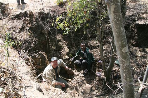 The Taphonomy of Australopithecus Sediba of the Malapa Fossil Site ...