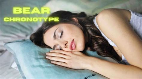 Bear Chronotype: Sleep Patterns and Implications – Search Candid