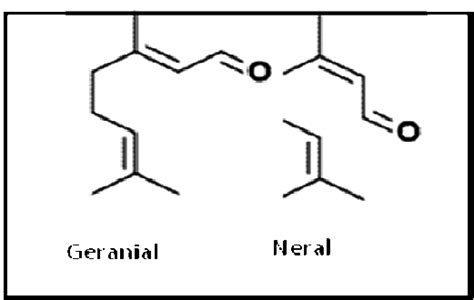 The chemical structures of Citral (geranial and neral), a major... | Download Scientific Diagram