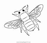 Bumble Bee 2 Coloring Page For Kids  Free Bumblebees Printable sketch template