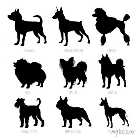 Small dog breeds silhouettes set. high detailed, smooth vector • wall stickers terrier, standing ...