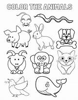 Wild Animals Coloring Pages To Download sketch template
