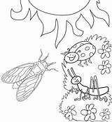 Fun Cicada And Other Insects coloring Page  Coloring Pages sketch template