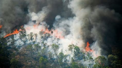 Amazon Forest Fire Prevention and Fire Fighting | Bezos Earth Fund