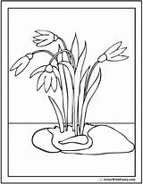 Drop Coloring Pages sketch template