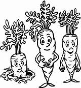 Cartoon Carrots coloring Page  Download Print Or Color Online For Free sketch template
