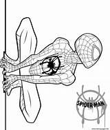 Spider Man Coloring Page Printable sketch template