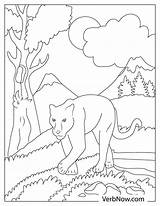 22 Free Panther Coloring Pages For Download Printable PDF sketch template