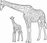 Jirafa De Dibujos Animados Para Colorear Imprimir E Dibujar  sketch template