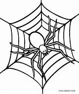 Free Printable Spider Coloring Pages For Kids  Cool2bKids sketch template