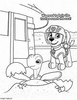 Paw Patrol Zuma 1 coloring Page sketch template