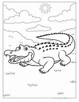 25 Crocodile Coloring Pages Free PDF Printables sketch template