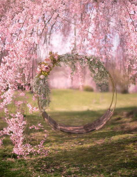 Cherry Blossom Swing Fondo Digital - Etsy México