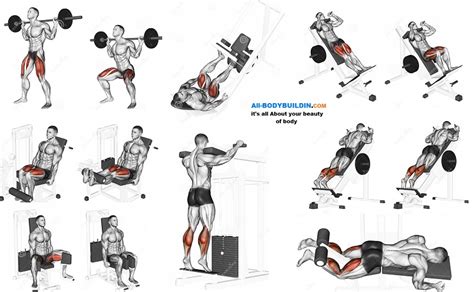 Best Leg Exercises That Will Give You Awesome Looking Quads and Calves ~ multiple fitness