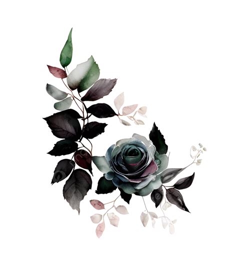 Acuarela Romántica De Rosa Negra PNG , Arte De La Acuarela Rosa Negra, Ramo Vibrante Acuarela ...