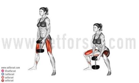 Sumo Squat: Correct Form, Benefits, & Programming Tips - SET FOR SET