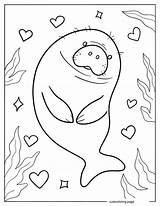 Manatee Coloring Pages20  Free Printable coloring Pages Cute sketch template